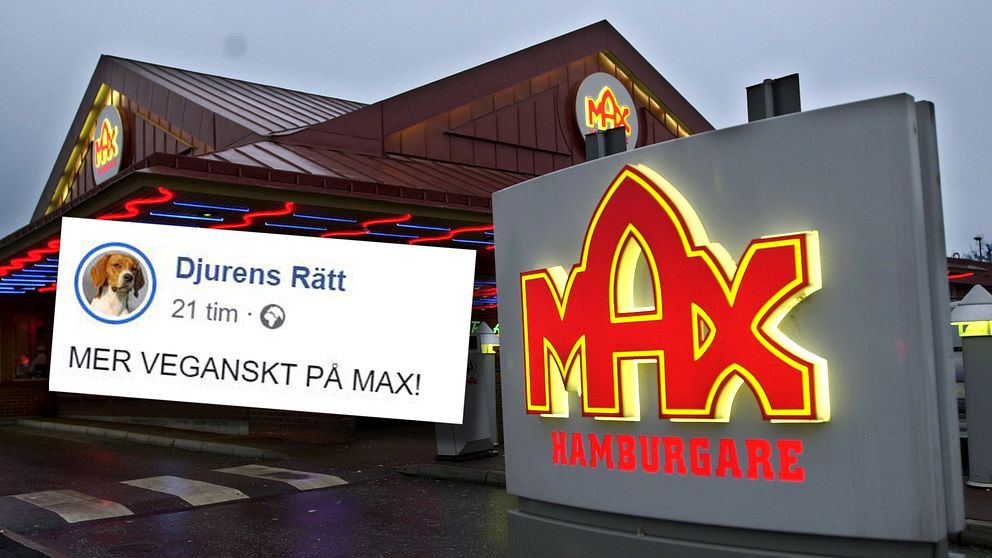 Max nya satsning görs ”i samarbete med oberoende organisationen Djurens Rätt”, enligt ett pressmeddelande från hamburgerkedjan.