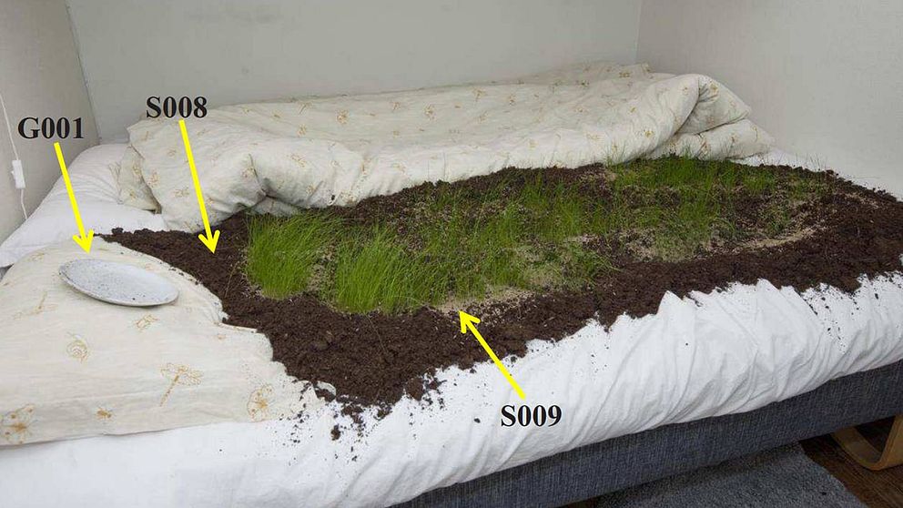 bild på sängen med gräs, jord och tallrik