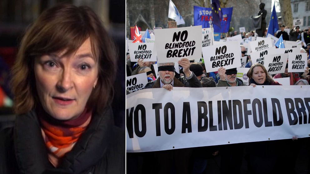 ”Theresa May har förlorat kontrollen över sin regering”, säger SVT:s utsända Anna-Maja Persson. Till höger en av flera brexit-protester i London.