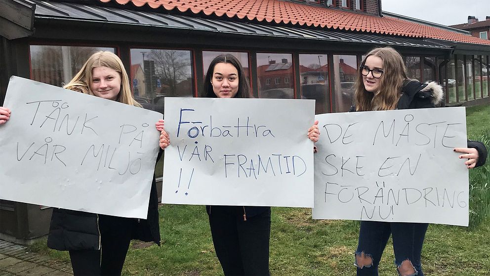 Klimatmanifestation i Båstad.