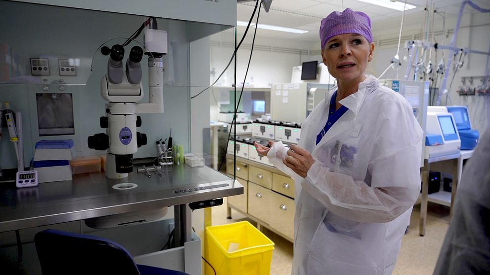 Anne-Charlotte Dahl, avdelningschef på reproduktionscentrum på Akademiska sjukhuset i Uppsala.