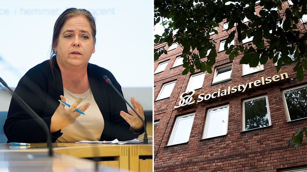 Karin Flyckt , sakkunnig på Socialstyrelsen och ansvarig över lägesrapporten.