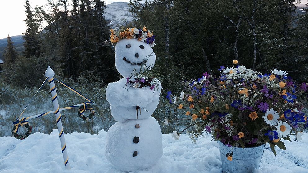 Snögubbe och midsommarstång i Bydalsfjällen i Jämtland på midsommardagen den 21 juni.