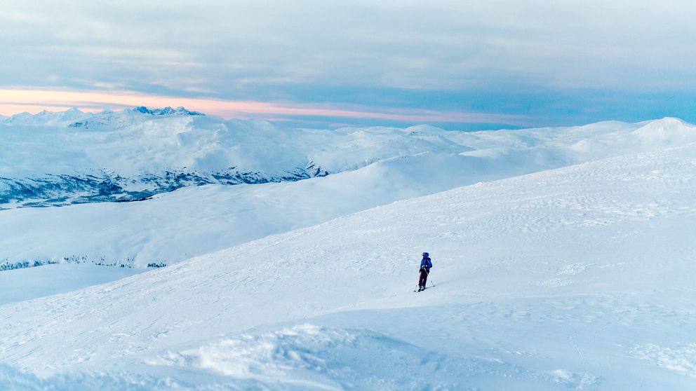 Stillastående skidåkare på ett snötäckt fjäll.