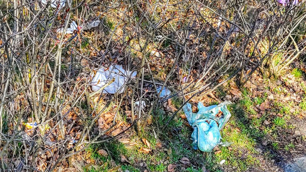 Plastpåsar skräpar i ett buskage.