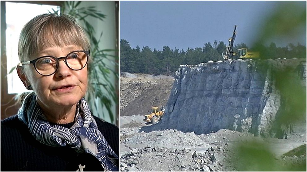 Anna-Lena Fritz, enhetschef på länsstyrelsen på Gotland.