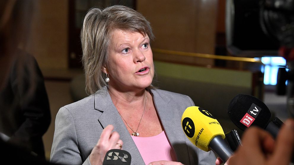 Vänsterpartiets talesperson Ulla Andersson.