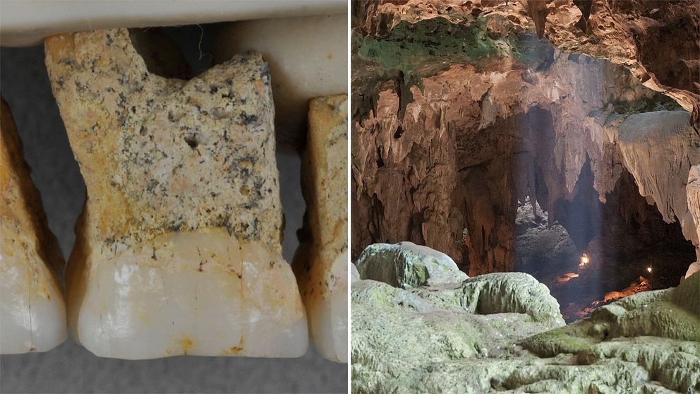 Tänderna tycks tillhöra en människoart som levde för mer än 50 000 år sedan. De hittades i den här grottan på ön luzon.