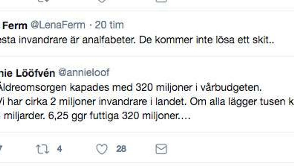 Göteborgsmoderaten Lena Ferm skrev i ett inlägg på twitter: ”De flesta invandrare är analfabeter. Det kommer inte lösa ett skit...”