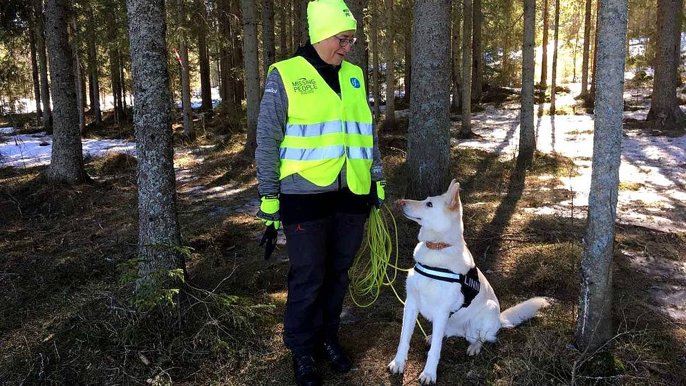 Ann Gottvall i Västernorrlands hundförargrupp deltog i Missing Peoples sökinsats med den nioåriga vita herdehunden Linn.