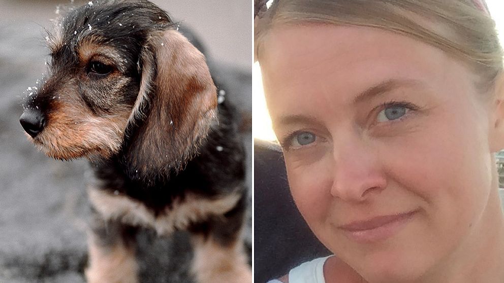 Hundvalp, Elina Åsbjer veterinär och kvalificerad handläggare vid SLU