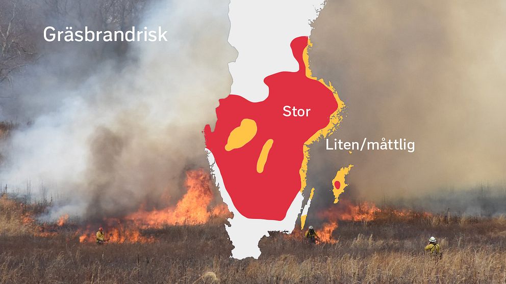 Gräsbrandrisk. Röd=stor, Gul= måttlig eller liten, Vit=ingen