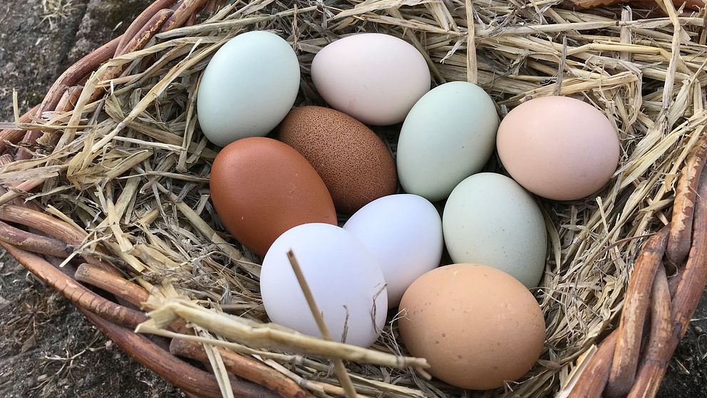 Naturligt olikfärgade ägg ligger i en korg.