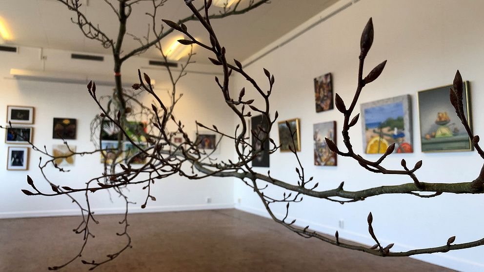 trädgren i förgrunden, ett konstverk i sig, med tavlor på väggen i bakgrunden på konst- och hantverksrunda i Hylte