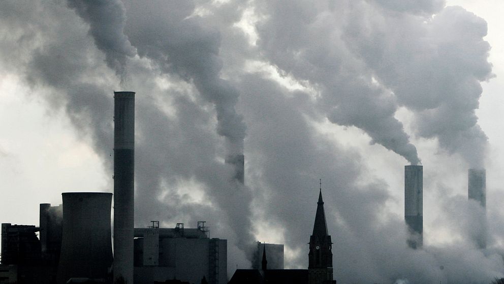 Ett kolkraftverk i Dusseldorf i Tyskland. EU-parlamentarikerna är oense om hur EU ska lösa klimatkrisen.