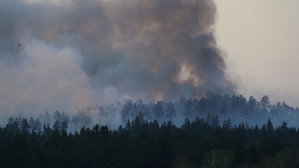 Brandrök stiger mot himlen från skogen i Tjällmo, Motala kommun.