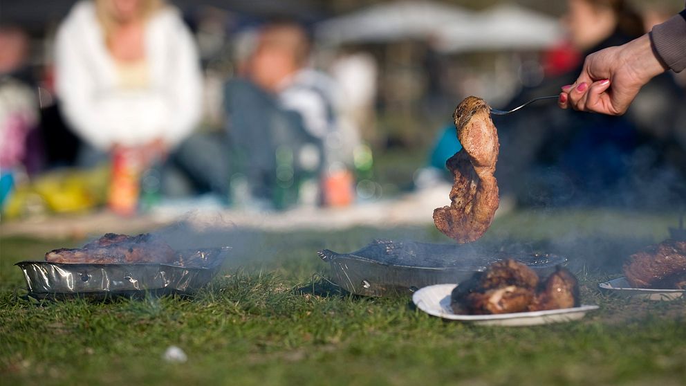 Grillning på engångsgrill i Rålambshovsparken i Stockholm. Men snart kan det vara ett minne blott.