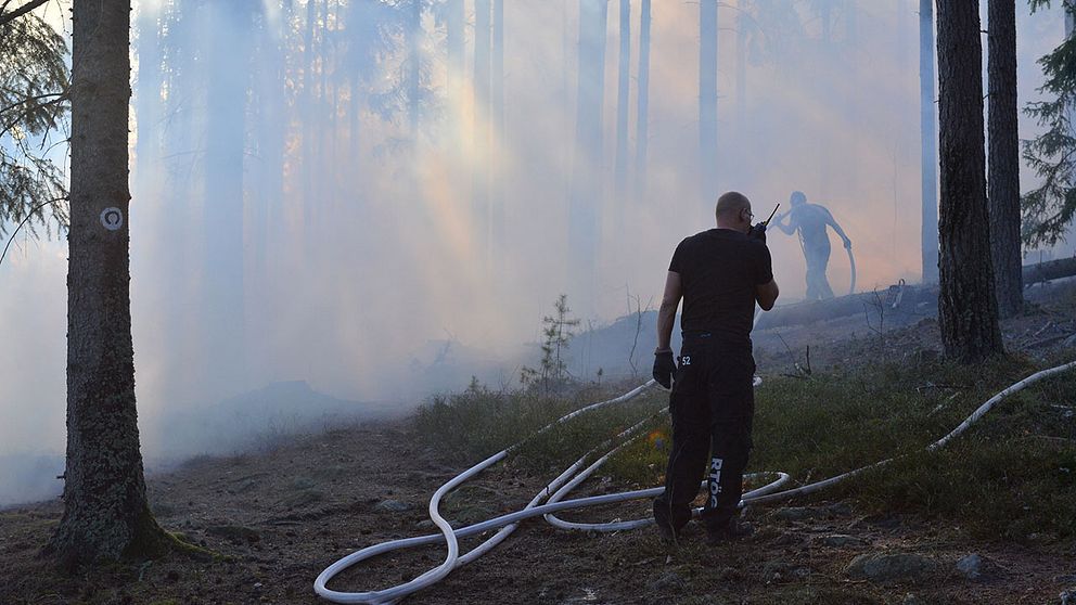 Rökfyllt i Vrinneviskogen.