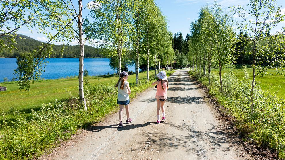 Två flickor går på en grusväg i en bjrökallé.