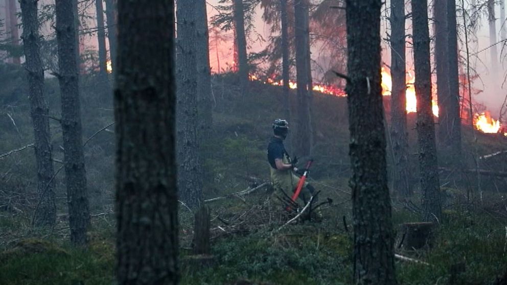brandman bekämpar skogsbrand godegård norr om Motala