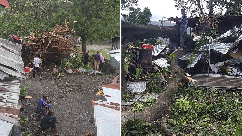 Flera hus har förstörts av fallande träd i Moroni, Comoros, efter att ovädret Kenneth drog in över Moçambique.