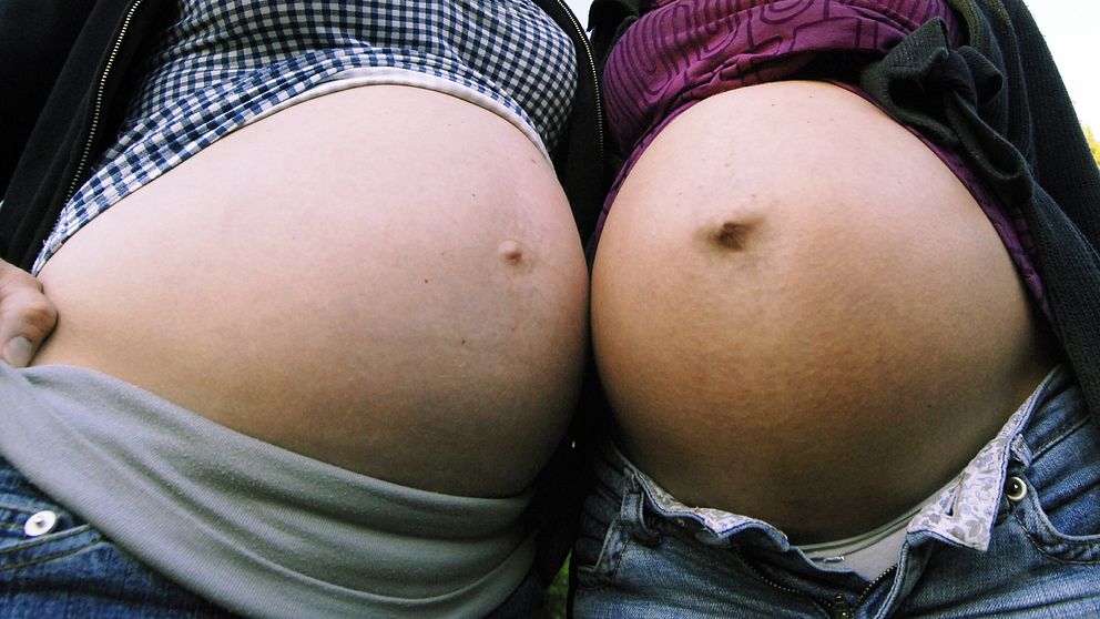 två gravida magar