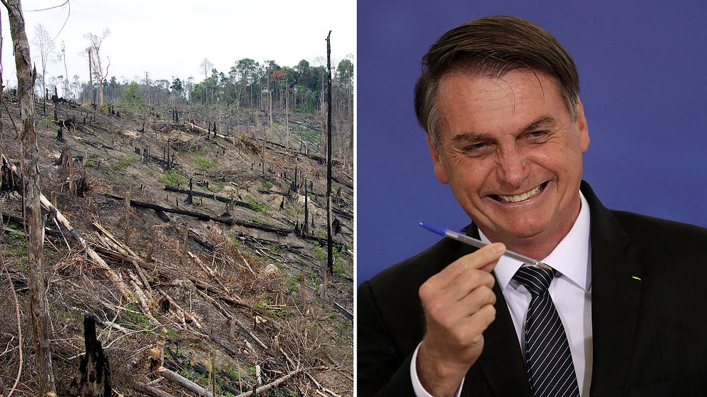 Bilden till vänster visar skövlad regnskog på Sumatra i Indonesien. Till höger syns Brasiliens president Jair Bolsonaro.