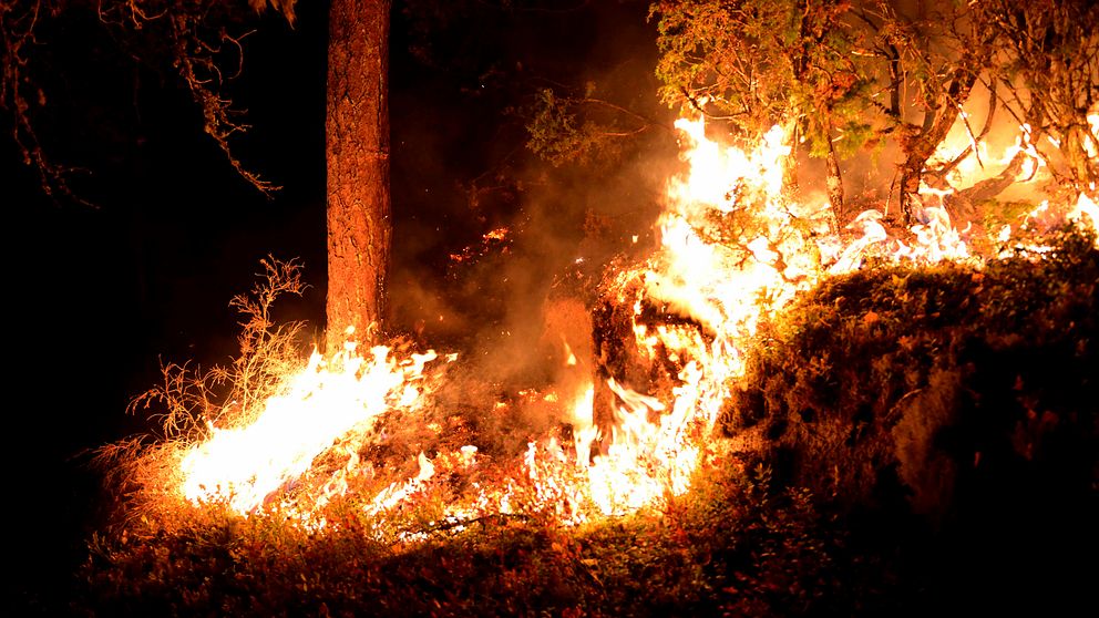 En svårsläckt skogsbrand rasade igår kväll och i natt vid Slätmon mellan Kisa och Rimforsa.