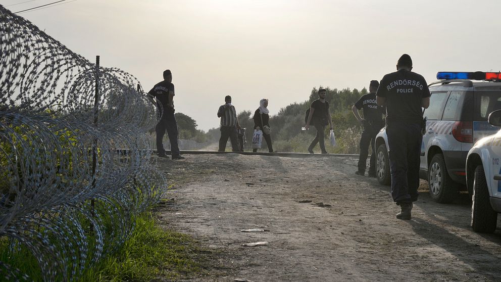 Ungerska poliser och flyktingar från Syrien vid den serbiska gränsen med taggtrådsstängsel.