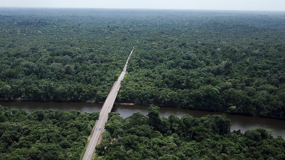 En motorväg löper genom Waimiri-Atroari-reservatet i Amazonas.