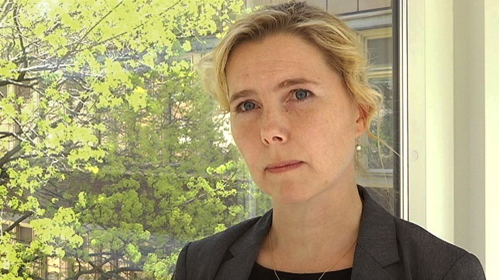 Porträtt Karin Everitt, åklagare, som står framför ett fönster