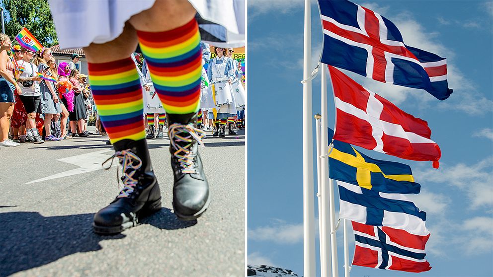 Av de nordiska länderna är det bara Island som hamnar under Sverige på ILGAS lista över olika länders lagstiftning för att skydda hbtqi-personers rättigheter, med 47 % jämfört med Sveriges 62 %.