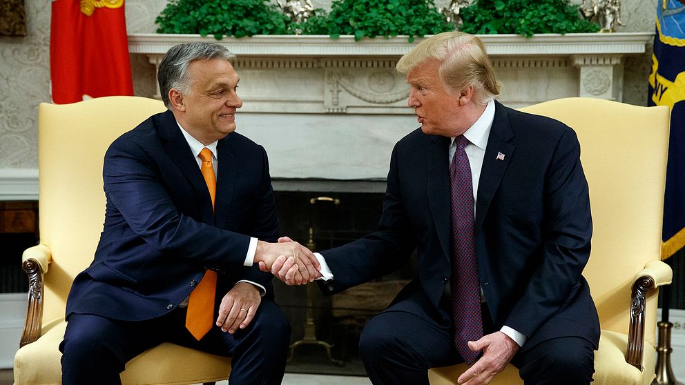Ungerns premiärminister Viktor Orbán och USA:s president Donald Trump skakar hand inne i Vita huset.