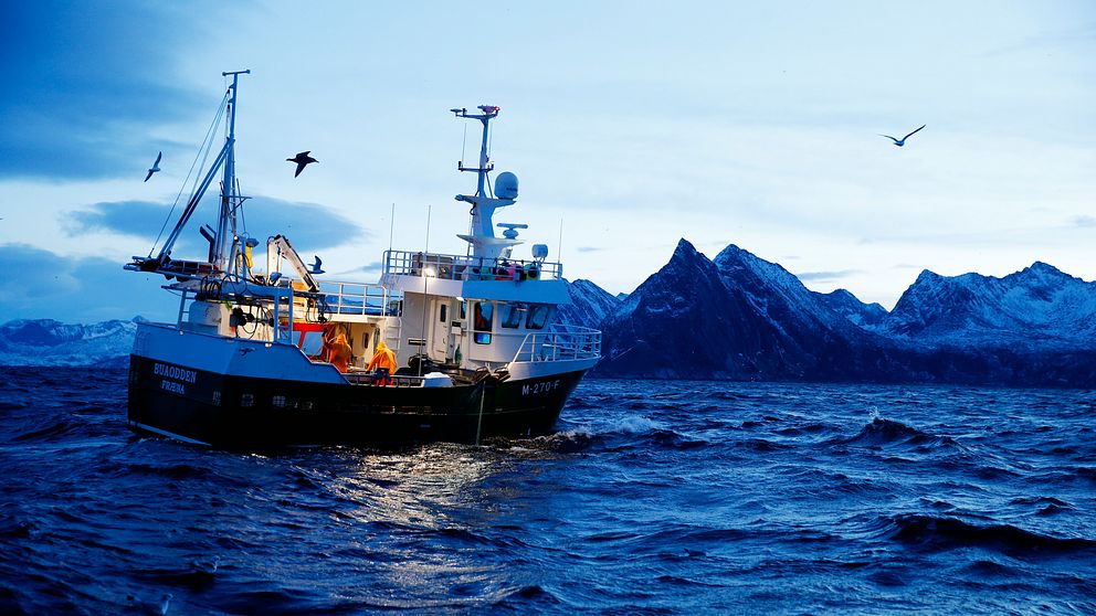 Torskfiske utanför Norge 2015.