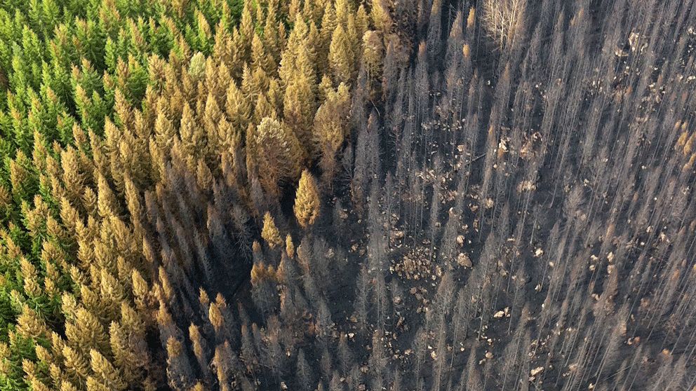 Skogsbranden i Västmanland från ovan