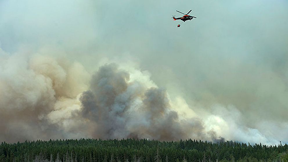 Rök från den stora skogsbranden i Västmanland