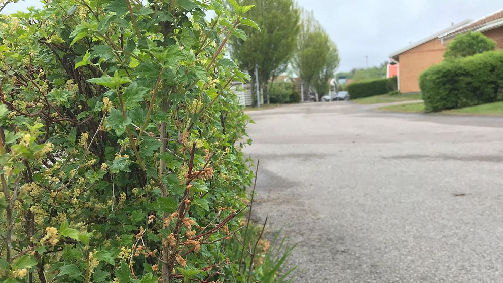 Huset i Hovmantorp där en bombattrapp placerades under lördagsnatten utsattes för sabotage så sent som för drygt en vecka sen.