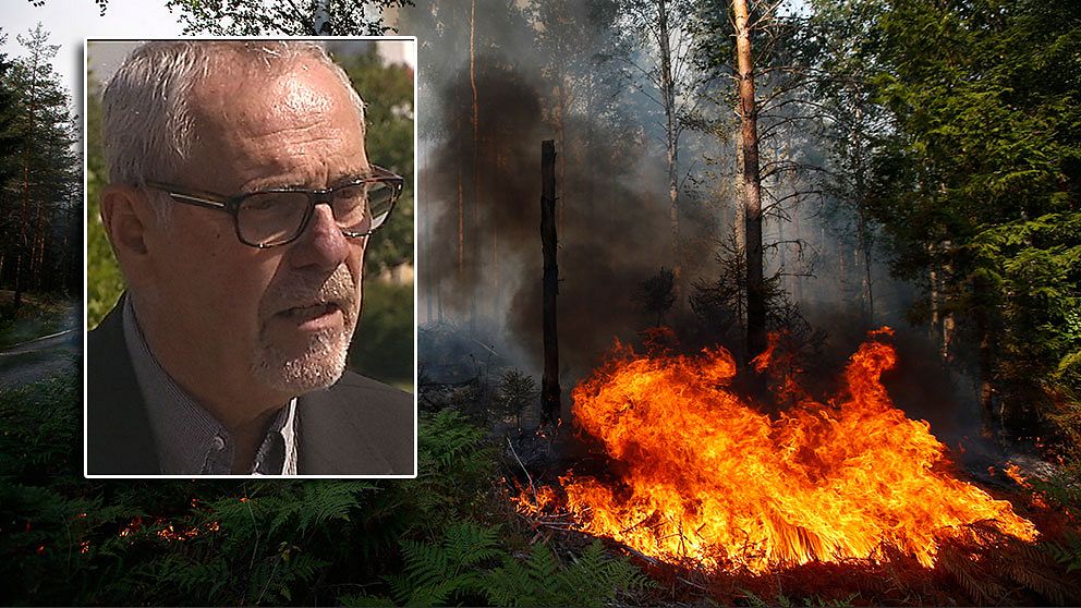Bengt Holgersson- ledde regeringens klimat- och sårbarhetsutredning