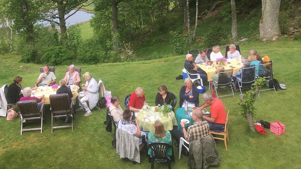 Singelpicknick.