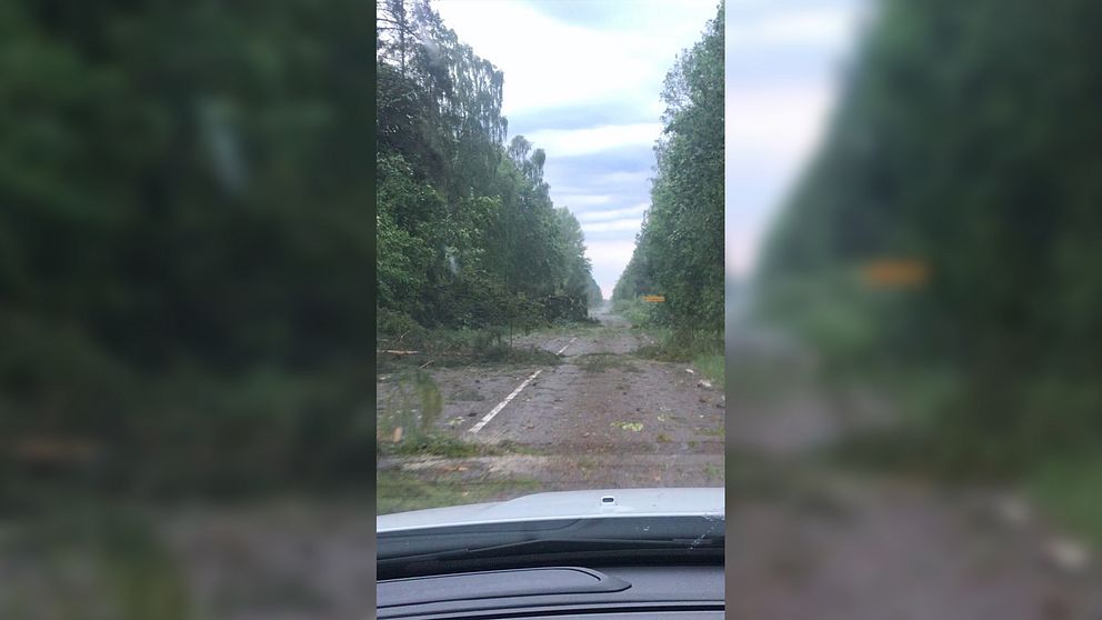 Under tisdagsnattens oväder blåste mängder av träd ner, som skadade delar av elnätet i Nybro kommun.