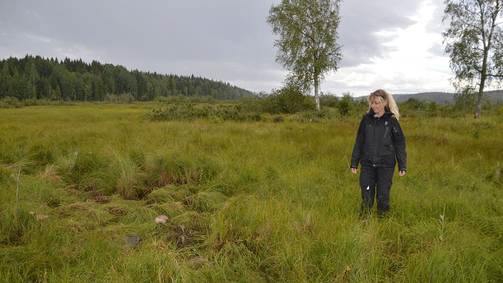 Inga Ängsteg på den plats i hagen där hon hittade en av sina döda hästar.