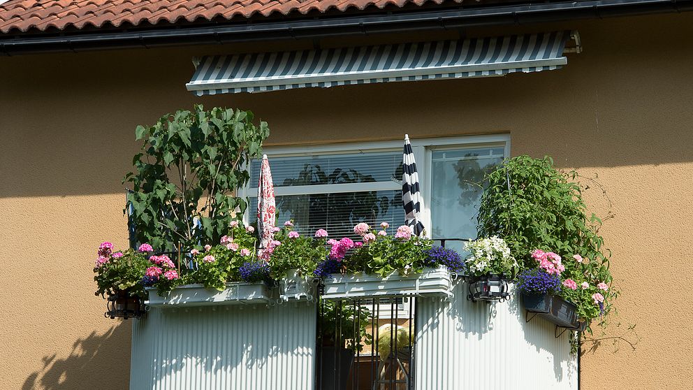 En balkong med blommor.