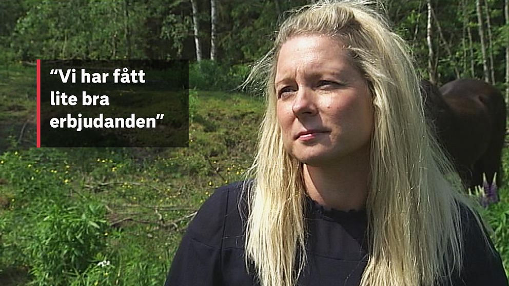 Hästägaren Liv Prestberg från Munkfors är nöjd med betesförmedlingen