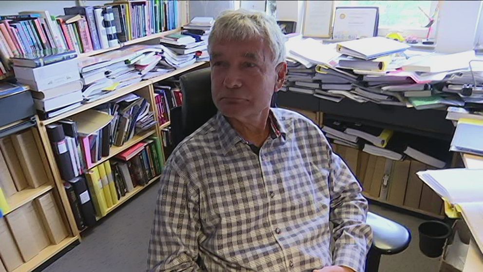 Lars Lindkvist, professor i organisation och ledarskap på Ekonomihögskolan vid Linnéuniversitetet i Kalmar.