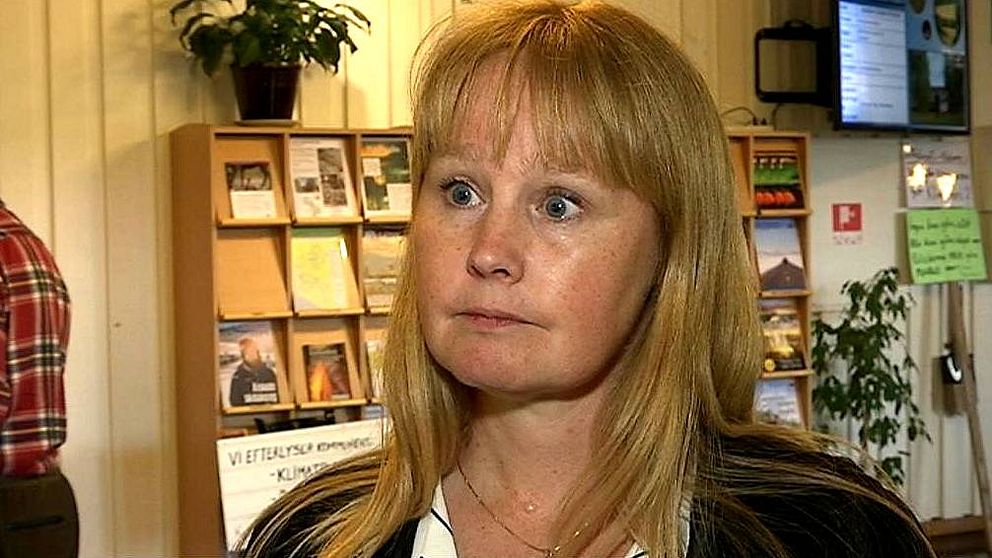 Susanne Hansson (S)