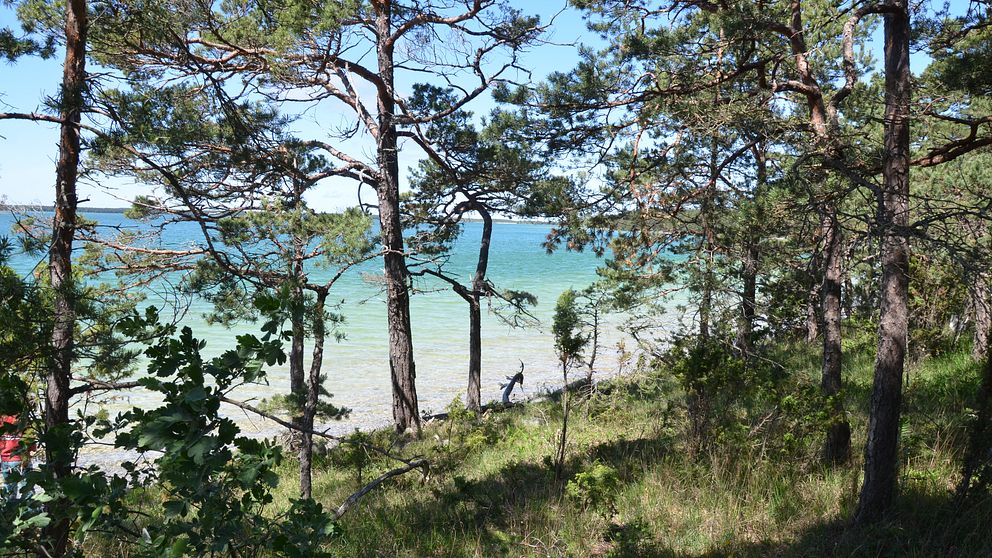 Bästeträsk, Gotland