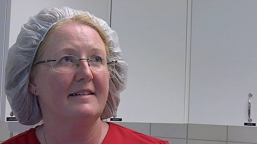 Nytt musgift drabbar katter hårt – blir nedkylda och medvetslösa | SVT ...