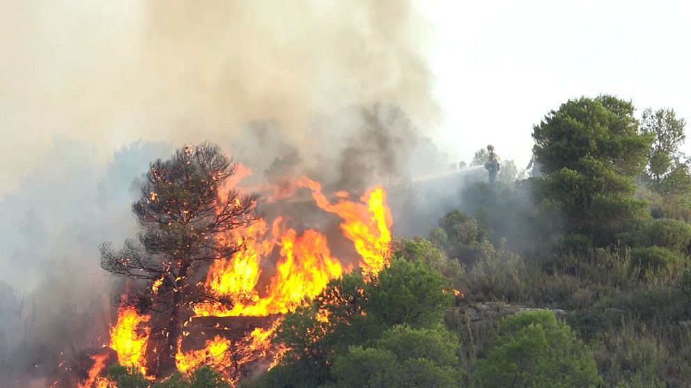 Skog som står i lågor i Torre del Espanol i nordöstra Katalonien, Spanien.