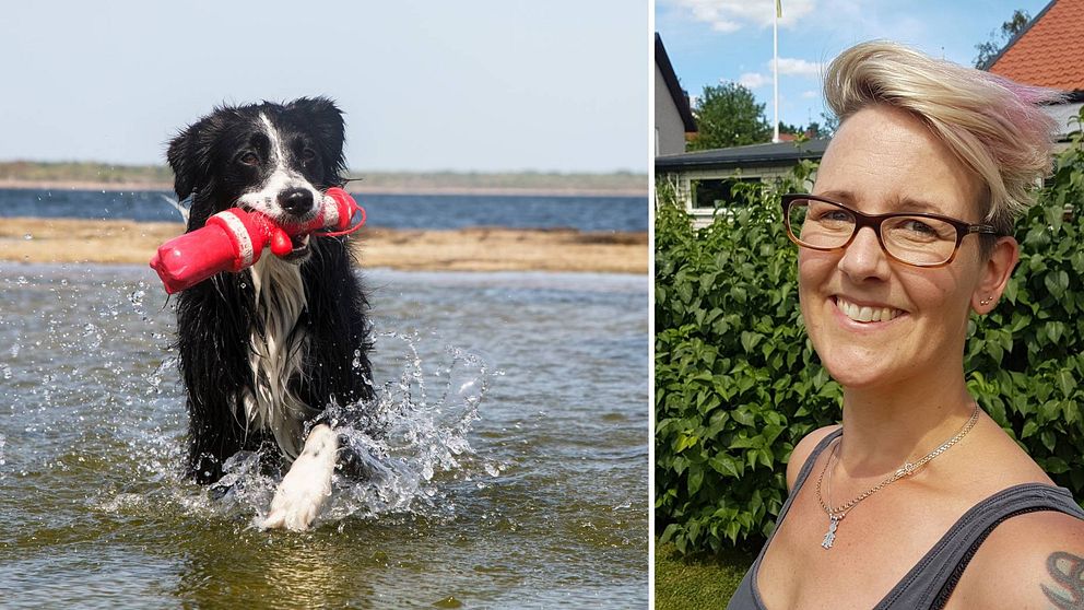 Border collie och Lina Roth, hundforskare och lektor på Linköpings universitet.