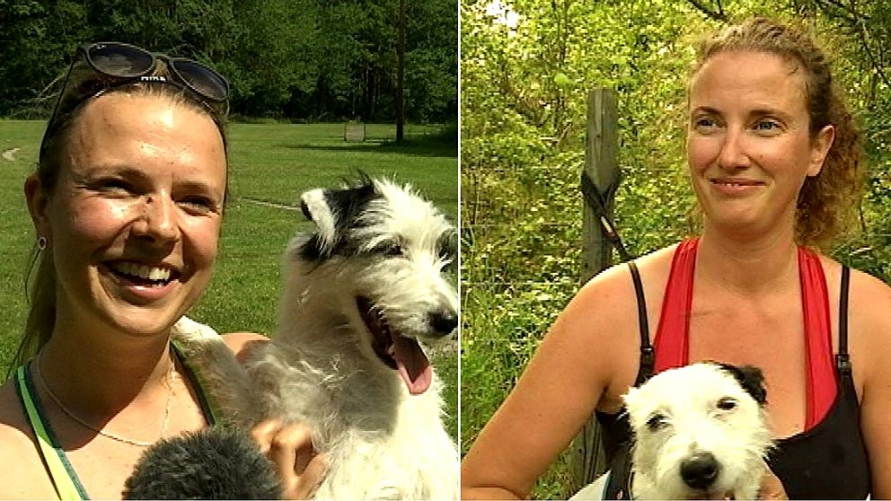 Magdalena Hägge med Yra och Johanna Rudenstam med sina parson russell terrier.